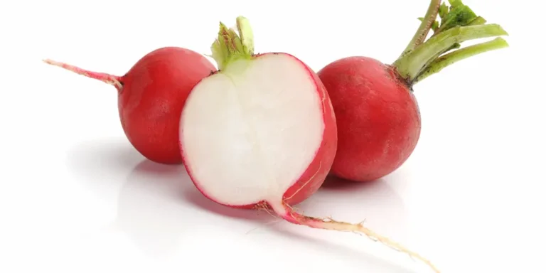 Pode cozinhar rabanete