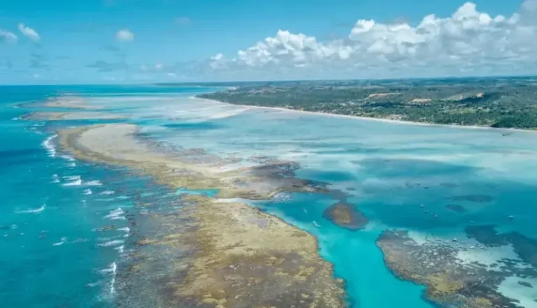 Rota dos Corais une PE e AL em turismo sustentável