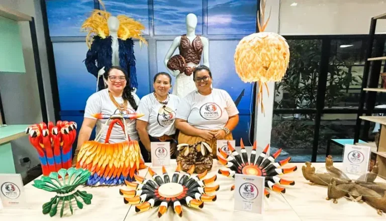 Sebrae transforma resíduos do Festival de Parintins em design e renda