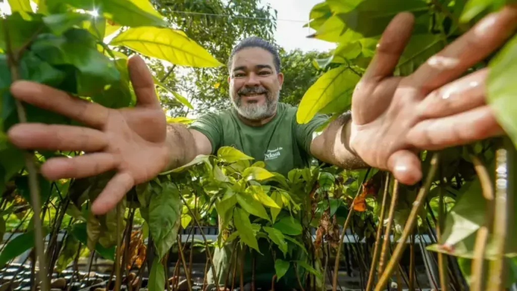 Viveiro na Amazônia saltará para 250 mil mudas em 2026