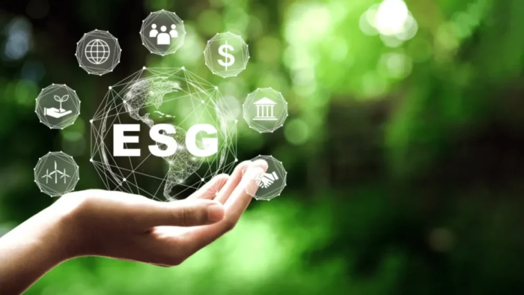 IA e consultorias do Sebrae impulsionam ESG em pequenos negócios