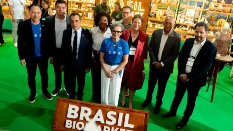BioMarket abre espaço para bioeconomia no Maranhão